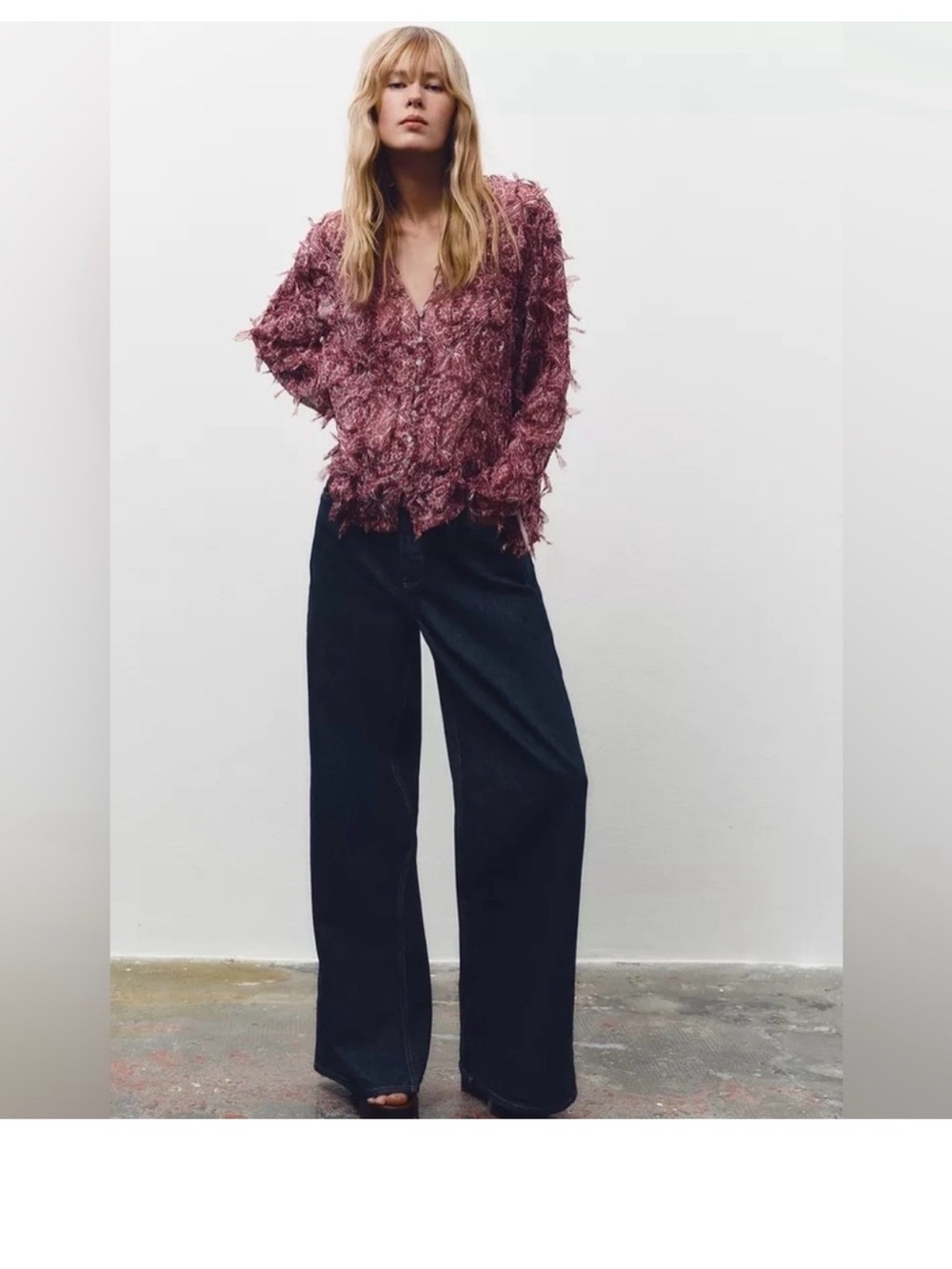 Zara semi sheer top